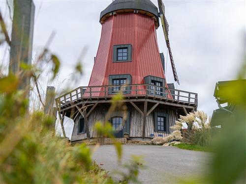 Sommerhus - 5 personer -  - Unteres Dorf - 25573 - Beidenfleth