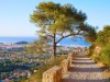 Billede 42 - Område