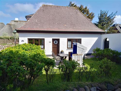 Ferieleilighet - 2 personer -  - Berthin-Bleeg-Straße - 25996 - Wenningstedt-Braderup (Sy