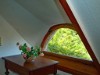 Bild 44