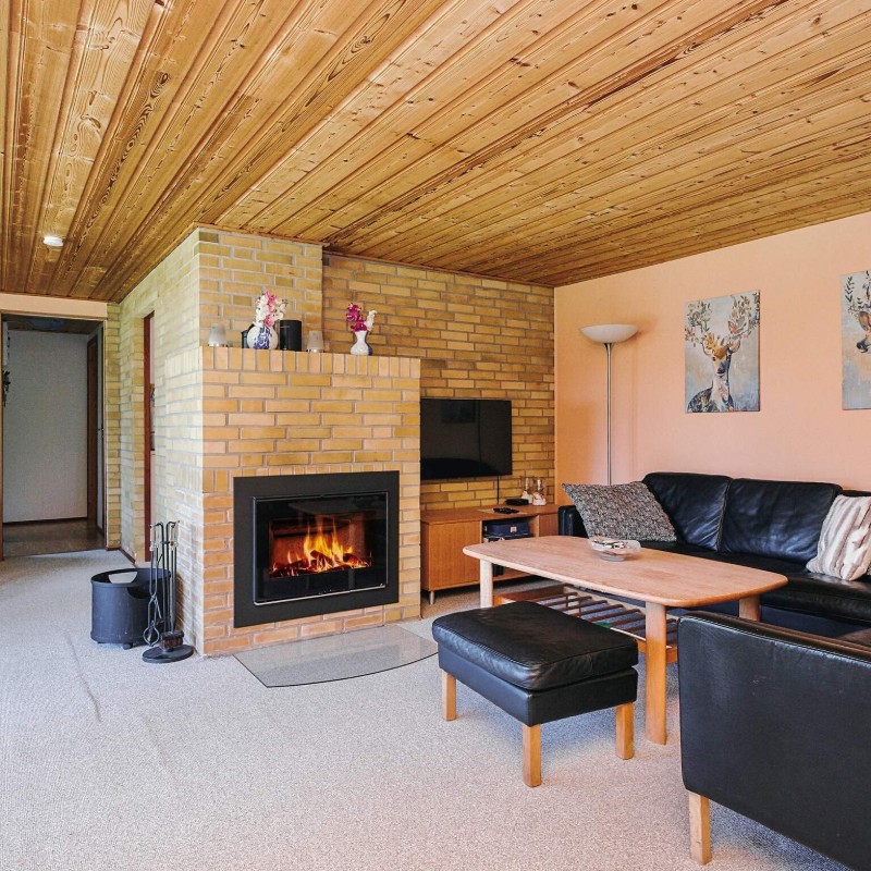 Ferienhaus - 6 Personen -  - Frødammen - Bjerge - 4480 - Southwest Zealand