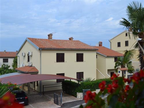 Holiday apartment - 2 persons -  - Pazinska - 52440 - Porec