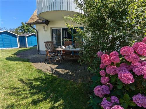 Ferielejlighed - 4 personer -  - Auf dem Branden - 18375 - Born