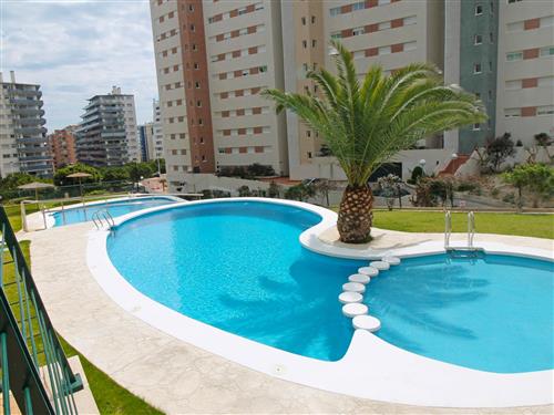 Ferienhaus - 3 Personen -  - Benidorm - 03570