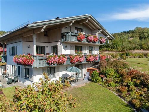 Ferielejlighed - 2 personer -  - Ambrosweg - 94249 - Bodenmais