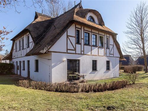 Ferieleilighet - 3 personer -  - Weg zum Hohen Ufer - 18347 - Ahrenshoop