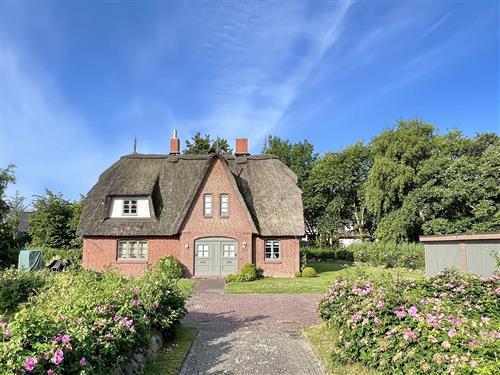 Ferienhaus - 3 Personen -  - Friesenstraße - 25826 - St. Peter-Ording