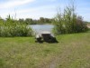 Bild 33 - Utsikt över vatten