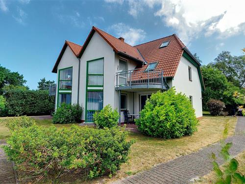 Holiday Home/Apartment - 4 persons -  - Lindenstr. - 18374 - Zingst