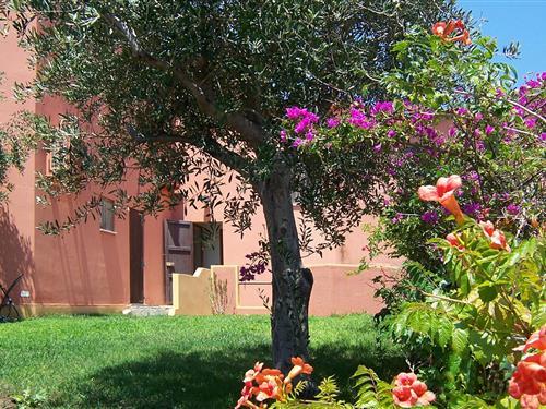 Holiday Home/Apartment - 4 persons -  - Piazza Stella Maris - 09031 - Torre Dei Corsari