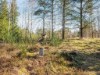 Billede 29 - Udsigt