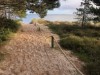Bilde 35 - Område