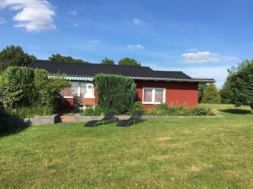 Ferienhaus - 5 Personen -  - 54550 - Daun