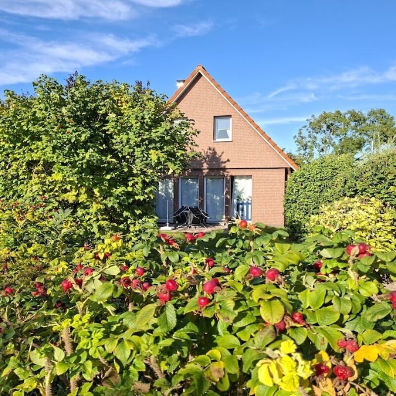 Sommerhus - 5 personer -  - 27639 - Dorum-Neufeld