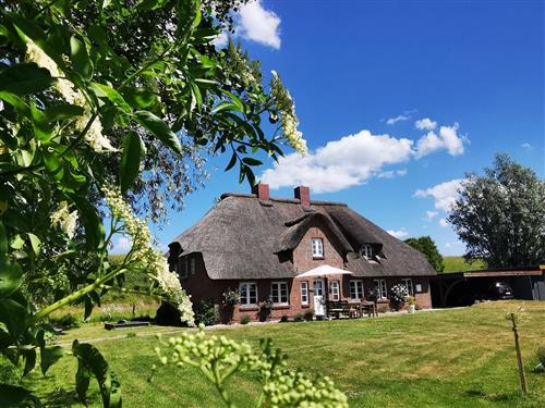 Ferieleilighet - 2 personer -  - Norderfriedrichskooger Straße - 25882 - Tetenbüll