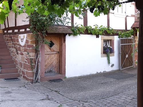 Ferielejlighed - 2 personer -  - Hauptstraße - 76889 - Dörrenbach