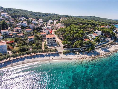 Ferielejlighed - 4 personer -  - Domovinskog rata - Brac-Sutivan - 21403 - Sutivan