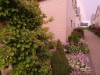 Bilde 29 - Ude