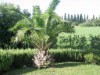 Image 22 - Outside
