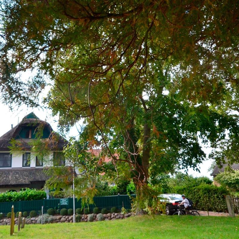 Sommerhus - 8 personer -  - Boddenstraße 17 d - 18586 - Groß Zicker