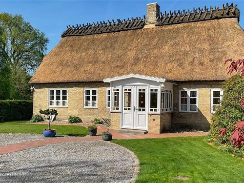 Ferienhaus - 5 Personen -  - Bökwatt - Schleswig Ot Tolk - 24894 - Tolk