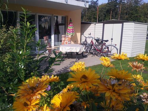 Ferielejlighed - 3 personer -  - Igelring 58 Erdg. - 18181 - Seeheilbad Graal-Müritz