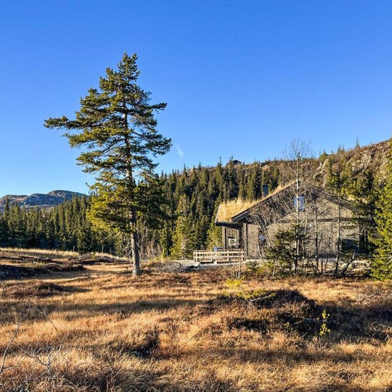 Sommerhus - 9 personer -  - Gulsviksetervegen - Høgevarde - 3539 - Flå