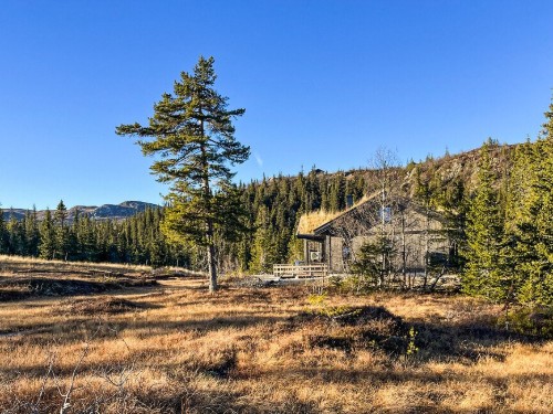 Ferienhaus - 9 Personen -  - Gulsviksetervegen - Høgevarde - 3539 - Flå