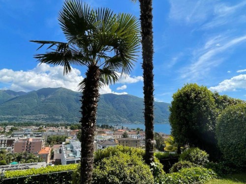 Holiday apartment - 4 persons -  - 6612 - Ascona