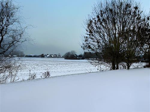 Ferielejlighed - 5 personer -  - Mühlenstraße - 26409 - Carolinensiel