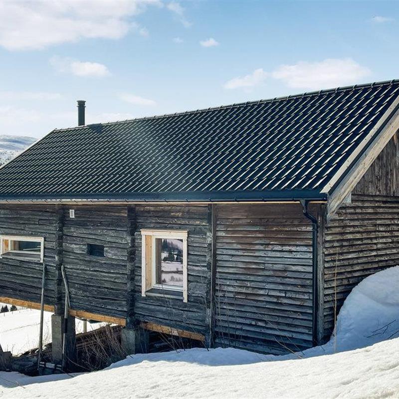 Sommerhus - 6 personer -  - Bakkavegen - Røros/Ålen - 7380 - Ålen