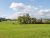 Image 27