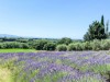 Image 27 - Outside