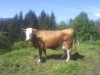 Bild 25