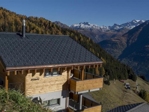 Ferieleilighet - 4 personer -  - 3992 - Bettmeralp