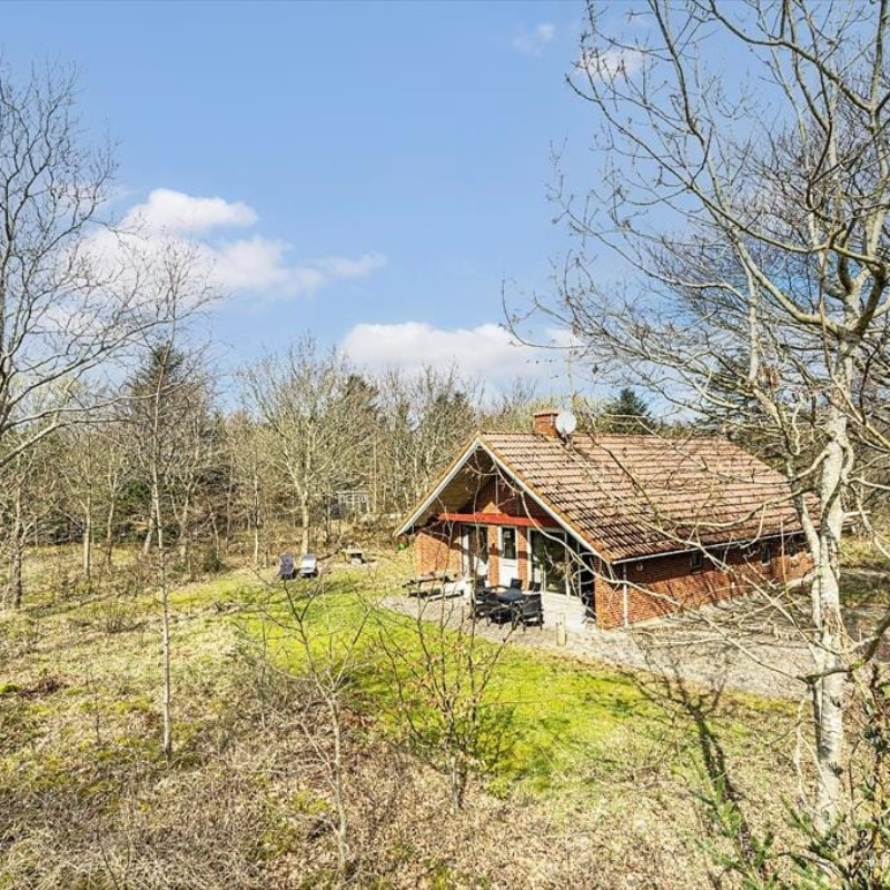 Ferienhaus - 6 Personen -  - Ahornalle - Lodbjerg Hede - 6950 - Ringköbing