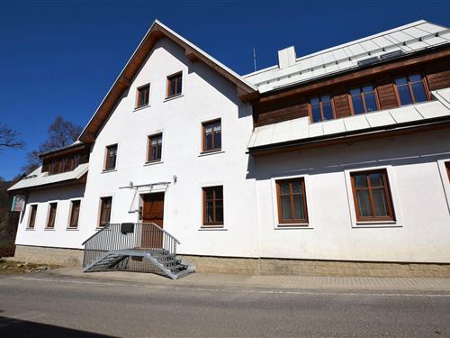 Holiday Home/Apartment - 4 persons -  - 51244 - Rokytnice Nad Jizerou