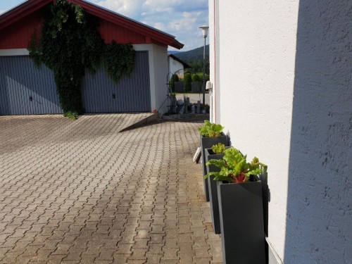 Ferielejlighed - 5 personer -  - Am Sonnenhügl - 94269 - Rinchnach