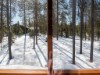 Bild 15 - Inde
