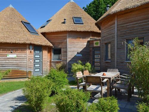 Ferielejlighed - 6 personer -  - Wiesenstraße - 23730 - Pelzerhaken