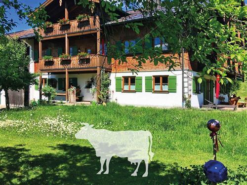 Holiday Home/Apartment - 2 persons -  - Birgsauer Straße - 87561 - Oberstdorf