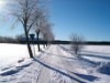 Bild 31