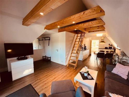 Ferielejlighed - 4 personer -  - Pumpeneck - 18375 - Born