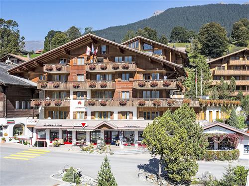 Ferienhaus - 6 Personen -  - Grindelwald - 3818