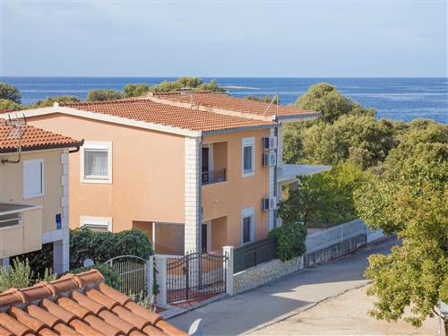 Ferieleilighet - 8 personer -  - Kanica 191c, Kanica - 22203 - Rogoznica