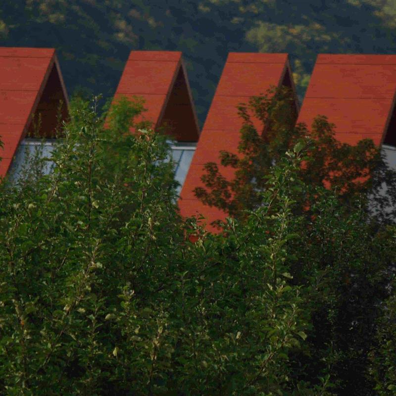 Sommerhus - 4 personer -  - Am Blätterborn - 56859 - Bullay