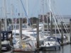 Billede 12