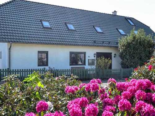 Ferielejlighed - 3 personer -  - Neuendorfer Straße - 17373 - Ueckermünde (Seebad)