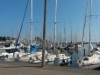 Billede 2