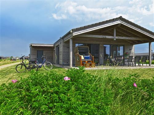 Feriesenter - 6 personer -  - Kaydeich - 25849 - Pellworm